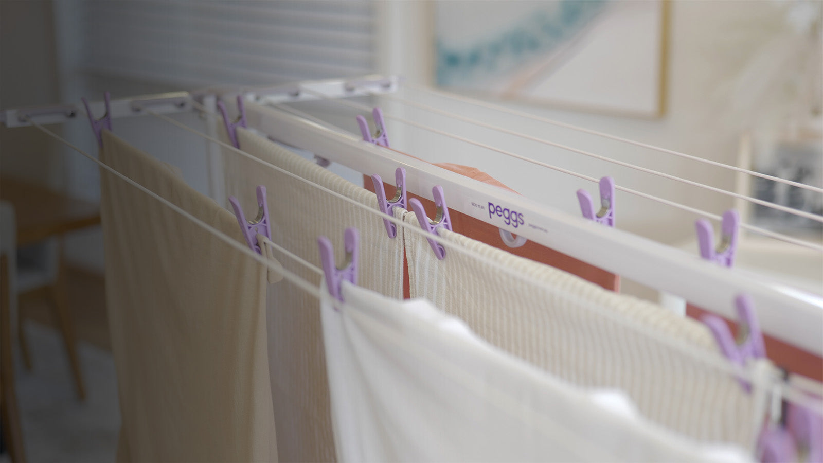 Compact Laundry Solutions for Small Spaces with Peggs Handy Lines®