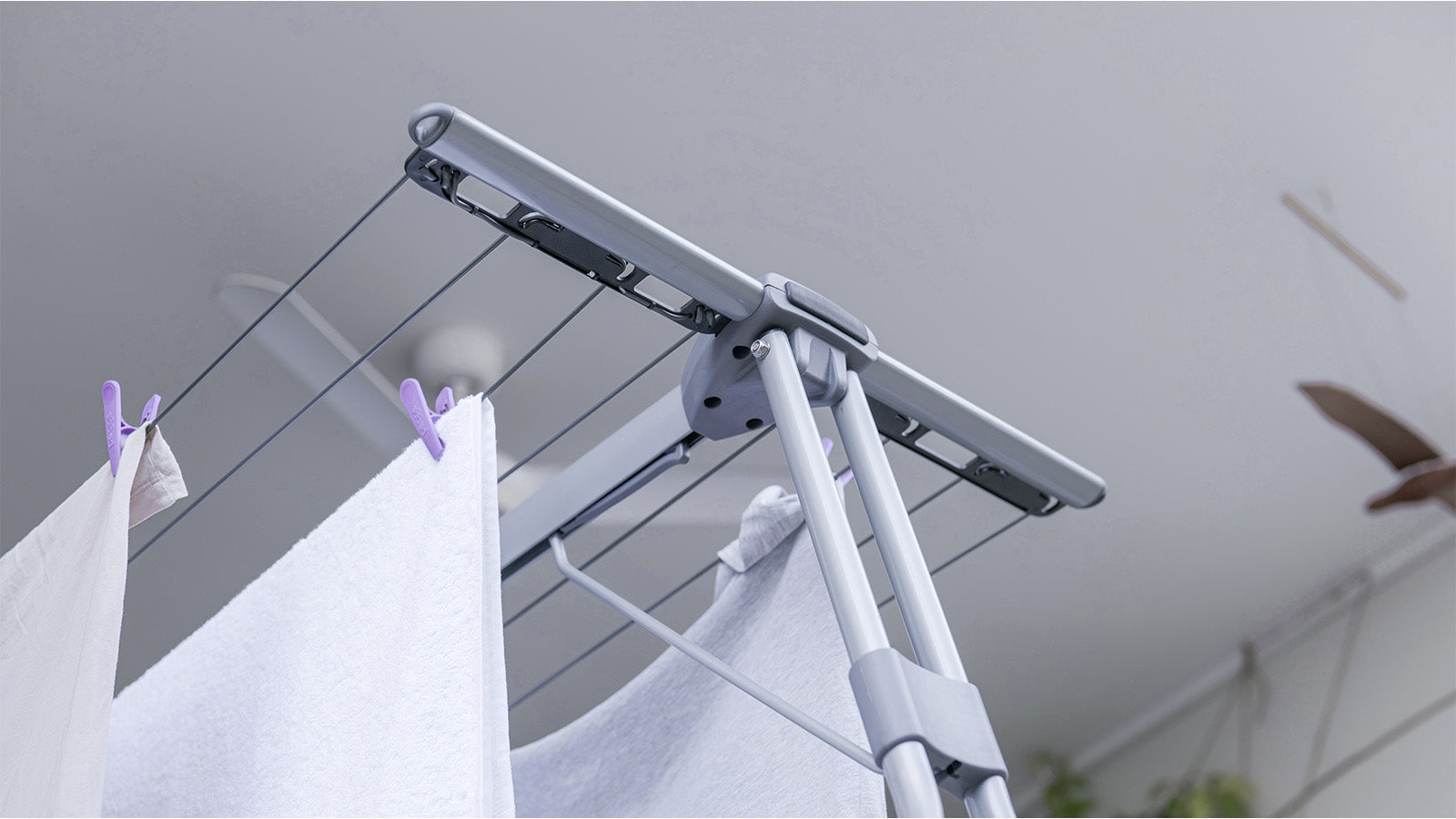 A Peggs Deluxe Handy Line with the camera angle facing towards the ceiling